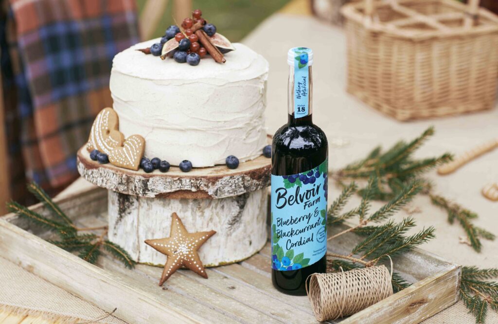 Chocolate & Blueberry Christmas Cake