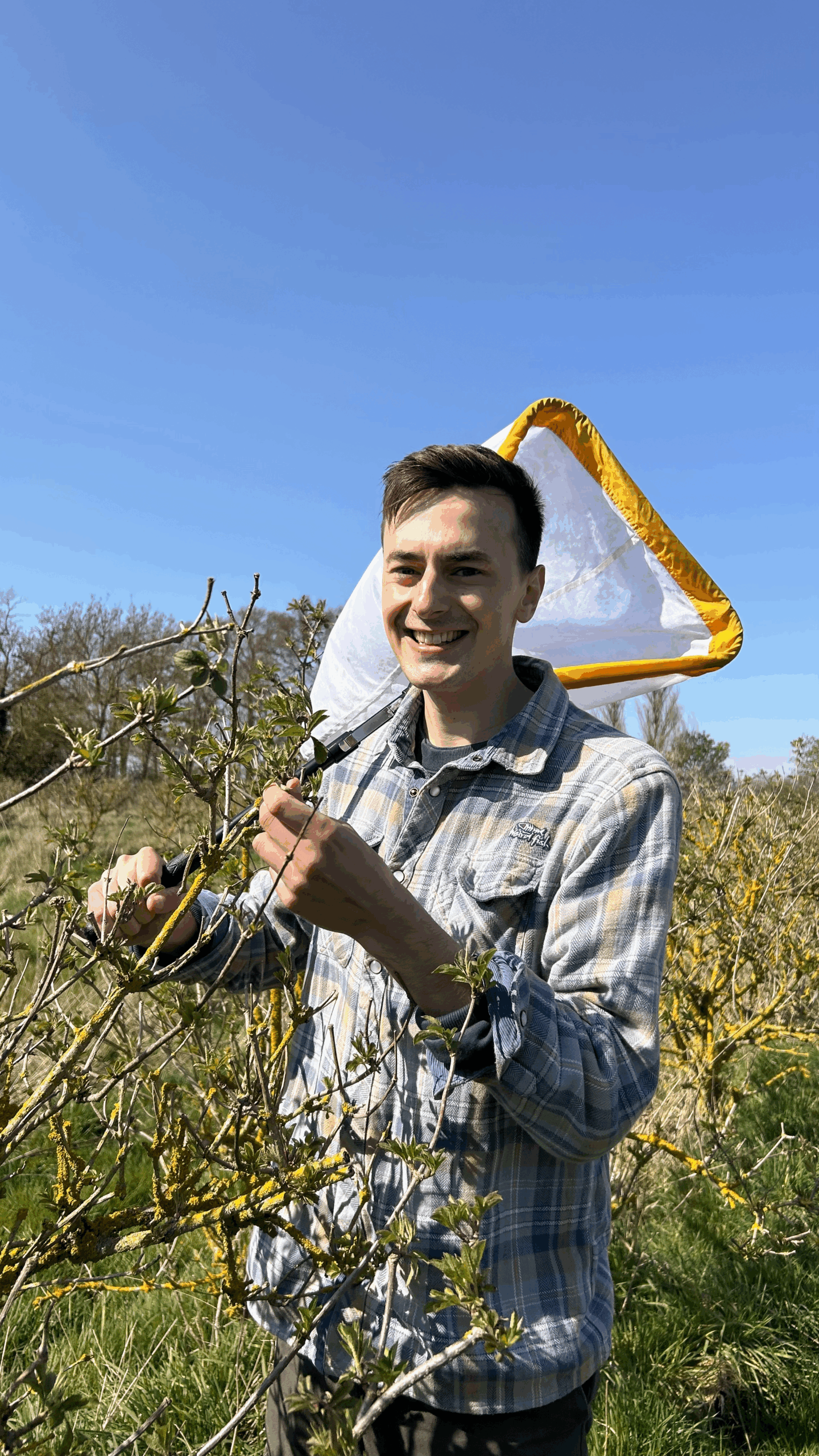 connor the ecologist posting with an elderflower bush at belvoir farm