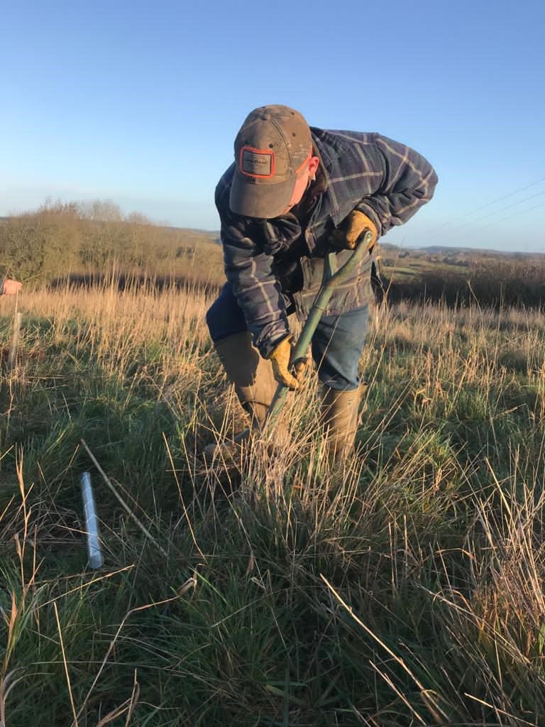 a farmer planting trees in the belvoir farm fields
