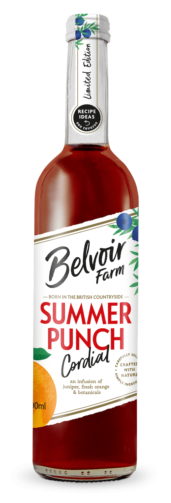 Summer Punch Cordial