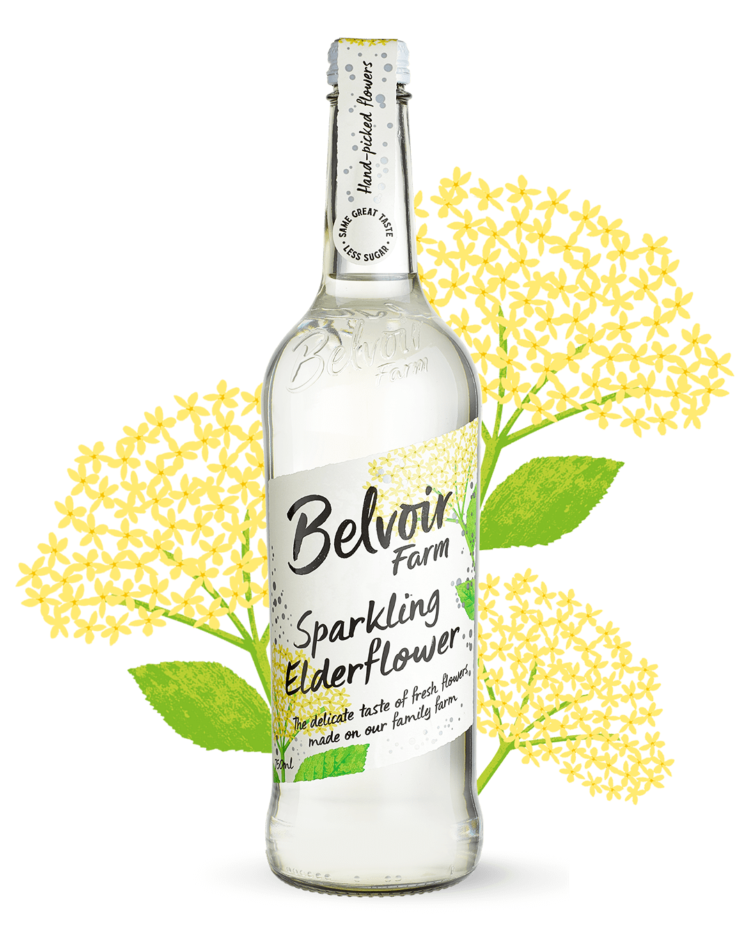 belvoir farm sparkling elderflower